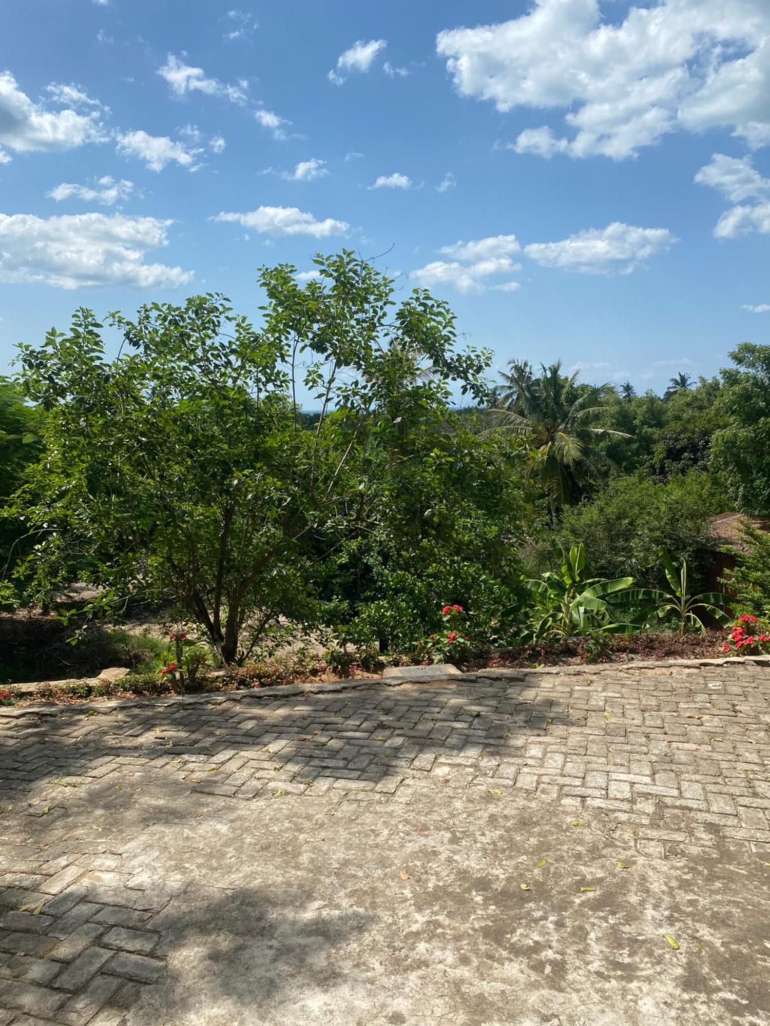 Mikoko Beach & Cottages Bagamoyo Exteriör bild